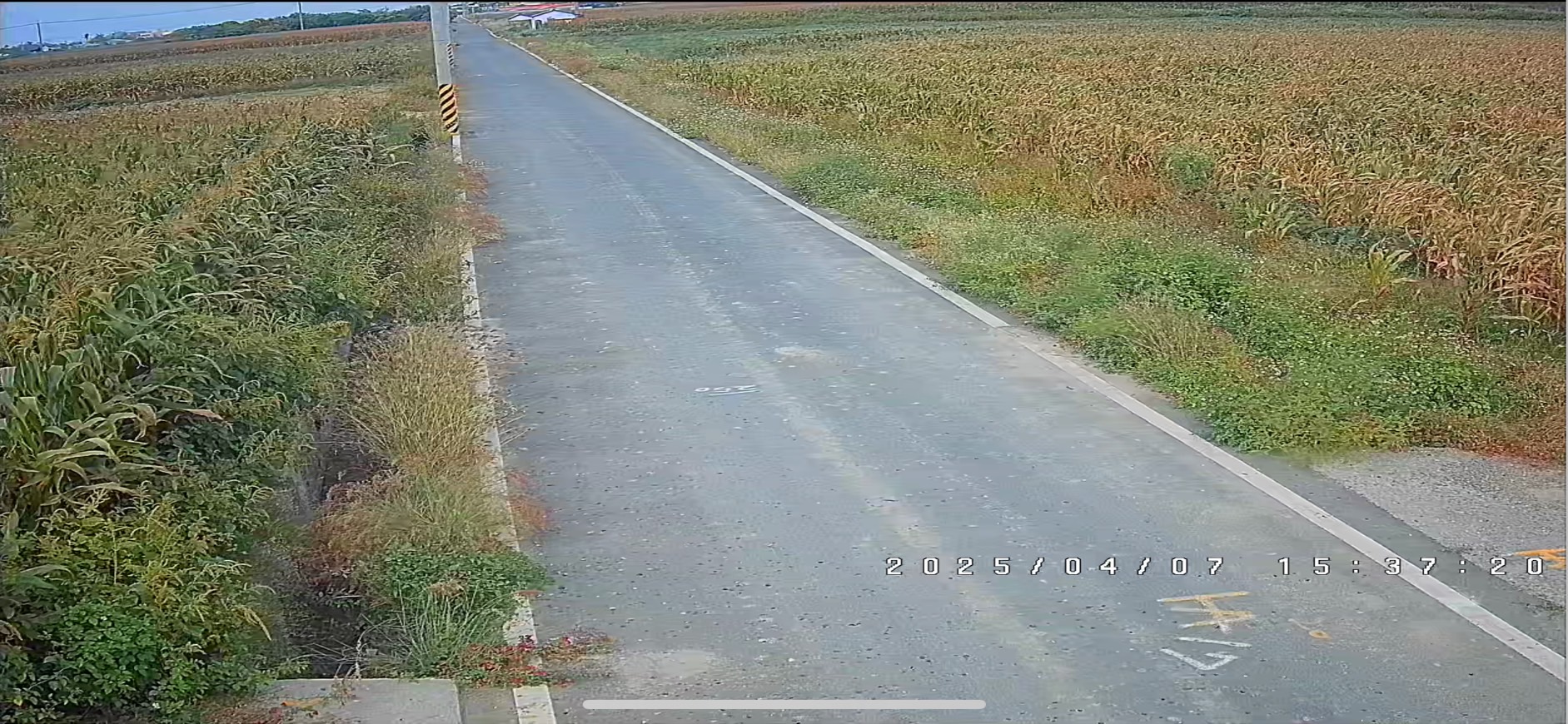 監視器在白天時拍攝的畫面